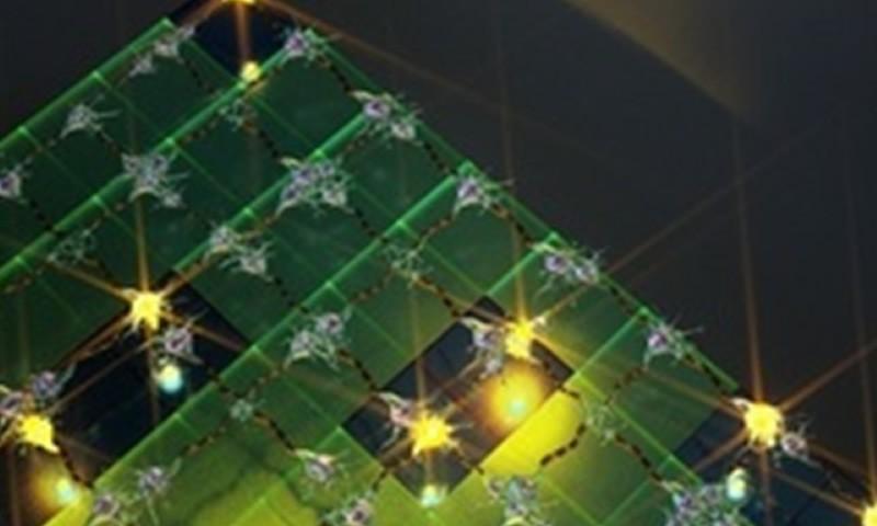 Find Out What Circuit Did Researchers Created Which Can Perform Human Simple Task