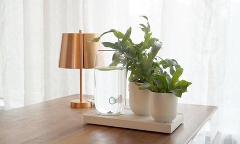 Tableau: A stand-alone water system that will water your indoor plants