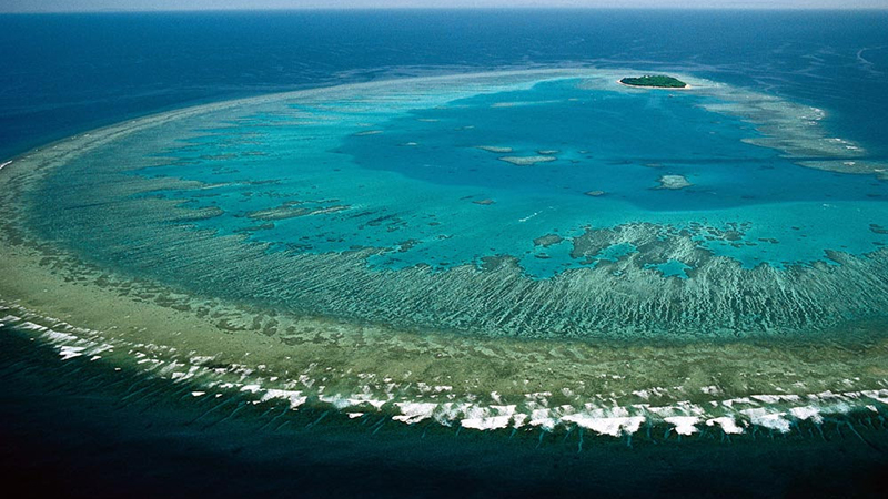 Great Barrier Reef - Coral Bleaching Found to be Worst in its History