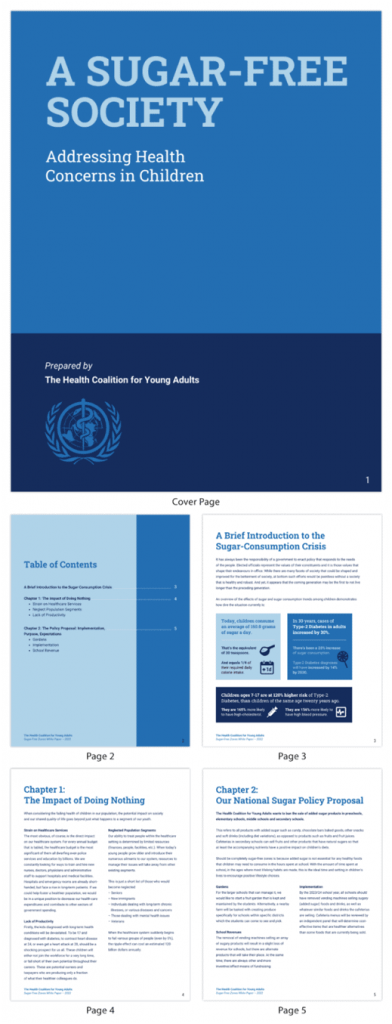 An image featuring healthcare policy white paper template
